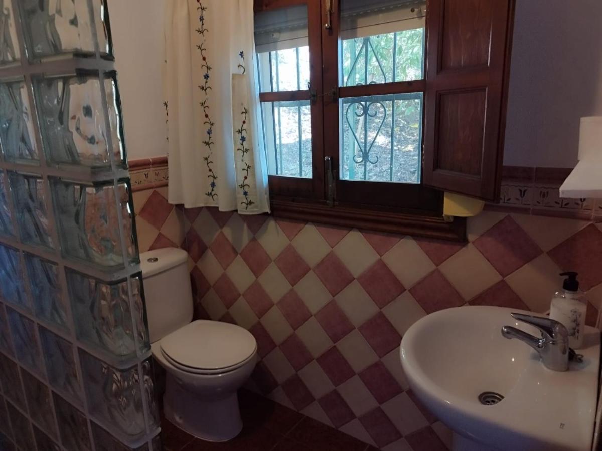 Гостевой дом Casa El Pino Кортес-де-ла-Фронтера Экстерьер фото