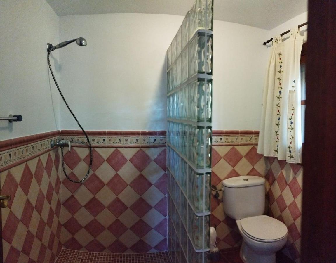 Гостевой дом Casa El Pino Кортес-де-ла-Фронтера Экстерьер фото