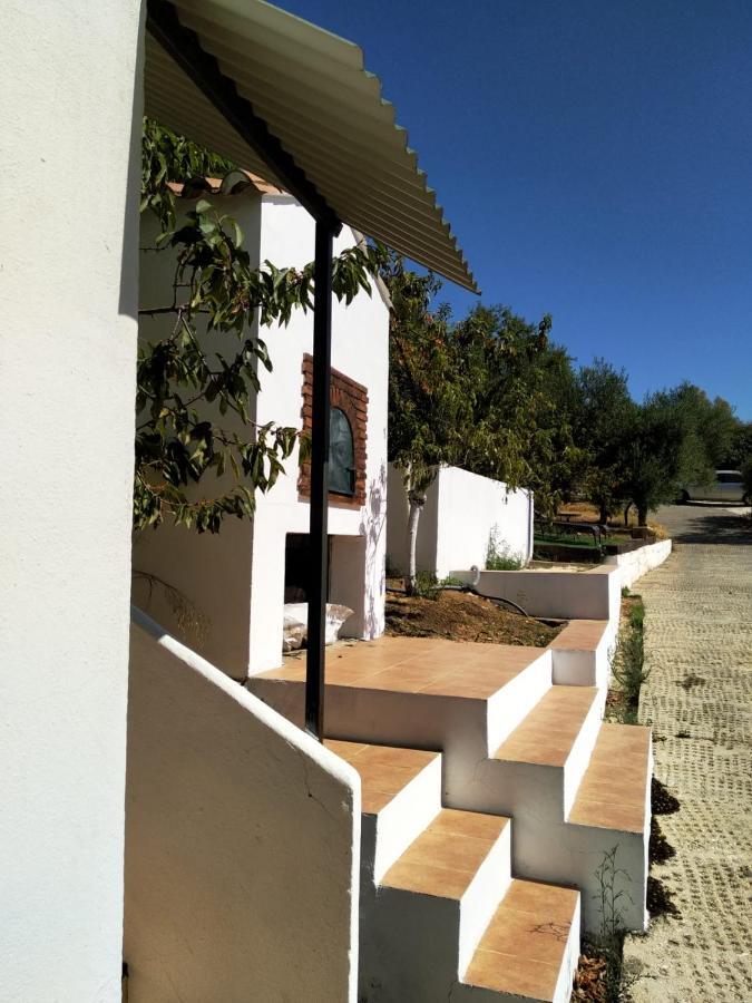 Гостевой дом Casa El Pino Кортес-де-ла-Фронтера Экстерьер фото